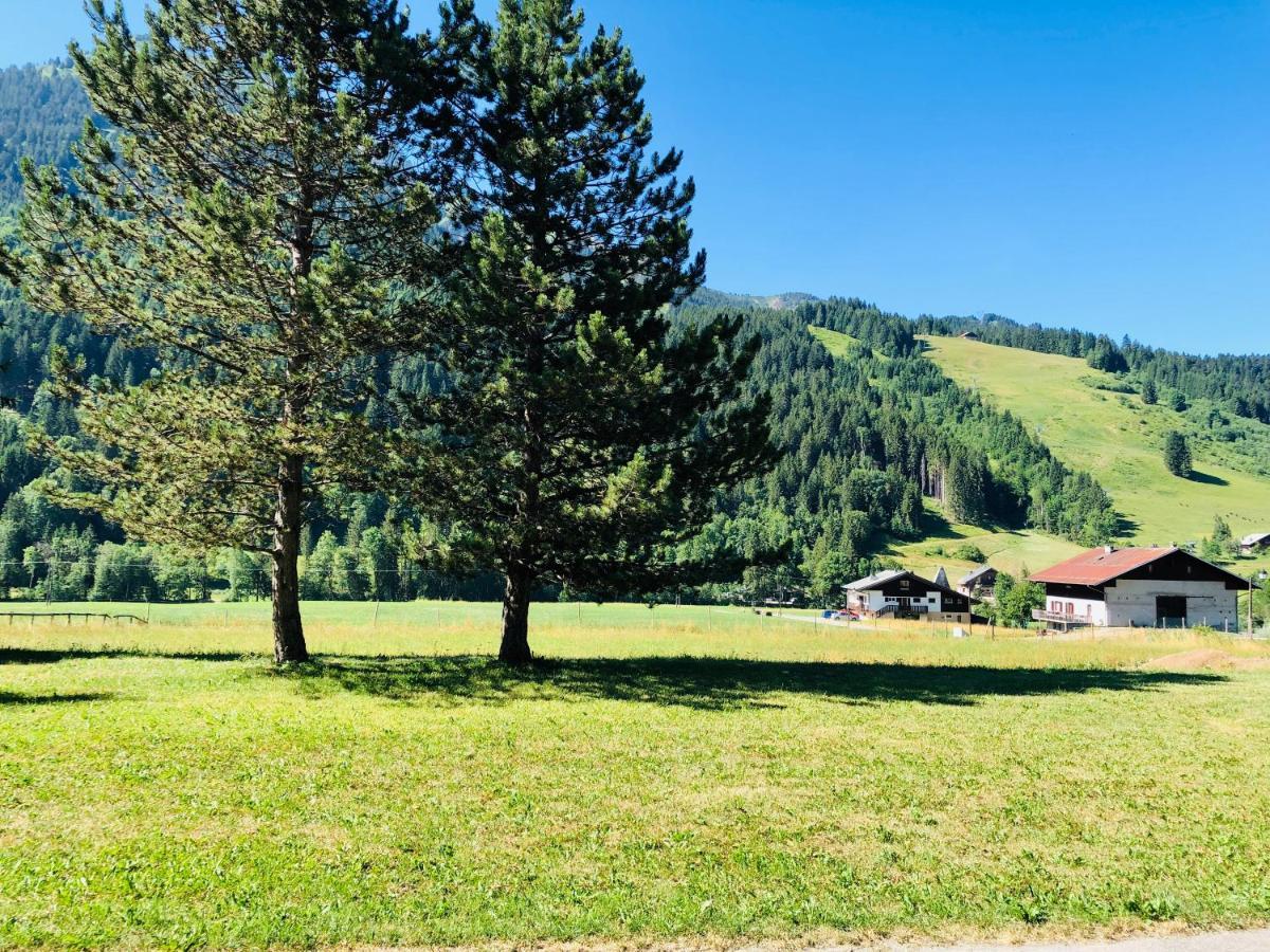 Bed and Breakfast Cent Cristaux Abondance Exterior foto